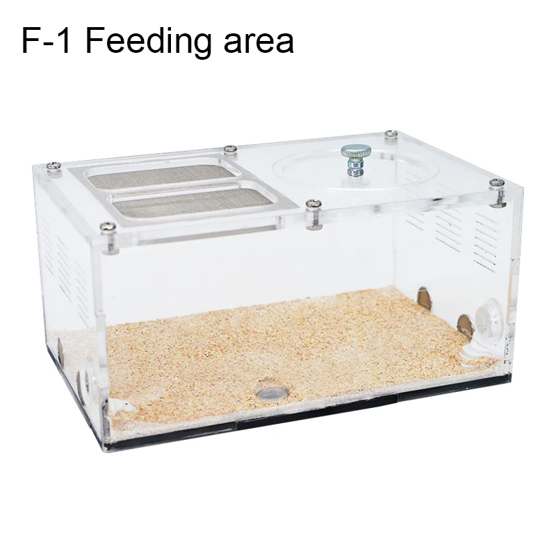 F-1 feeding area