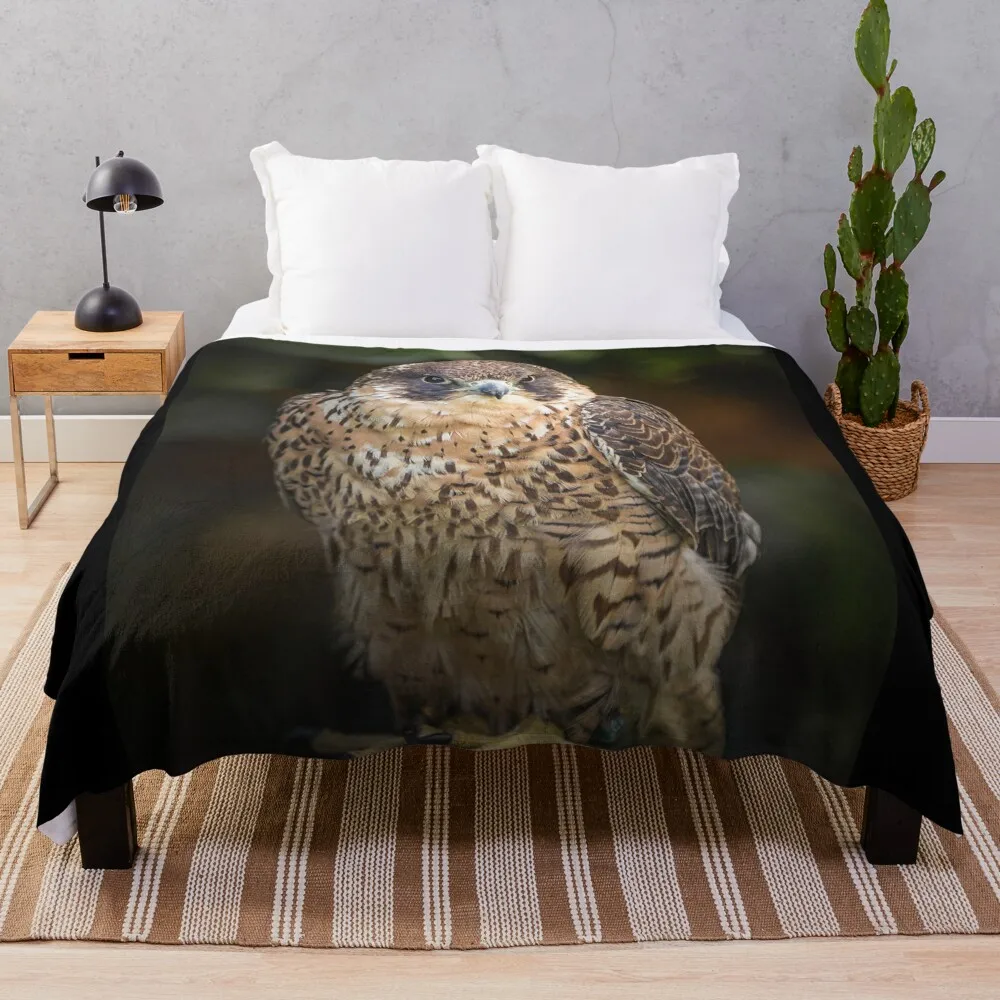 

Peregrine Falcon Bird of Prey Portrait Throw Blanket Dorm Room Essentials Flannel Custom Cute Plaid Blankets