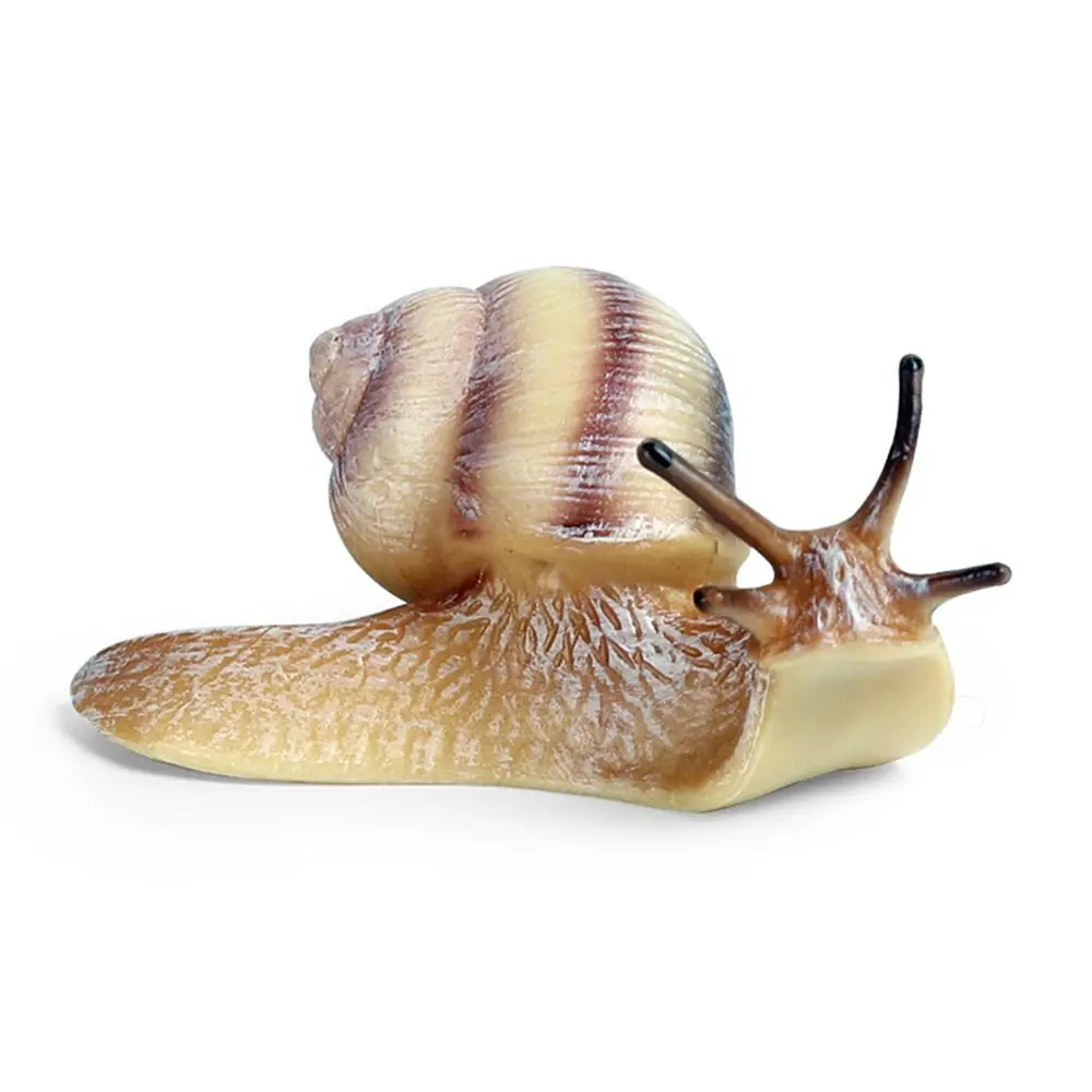 Teaching Tool Desktop Ornament Decor Garden Decor Snail Statue for Fairy Garden Snail Figurine Toy Mini Animal Figures