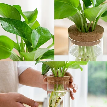 Hydroponic Plant Home Vase Decor Transparent Hydroponic Flower Pot Soilless Plant Pots Office Desktop Green Plants Pot Potted 6