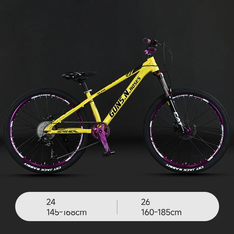 Dirt Jump Bike 24 Wheels On 26 Frame Chaos Grey Team Edition 26