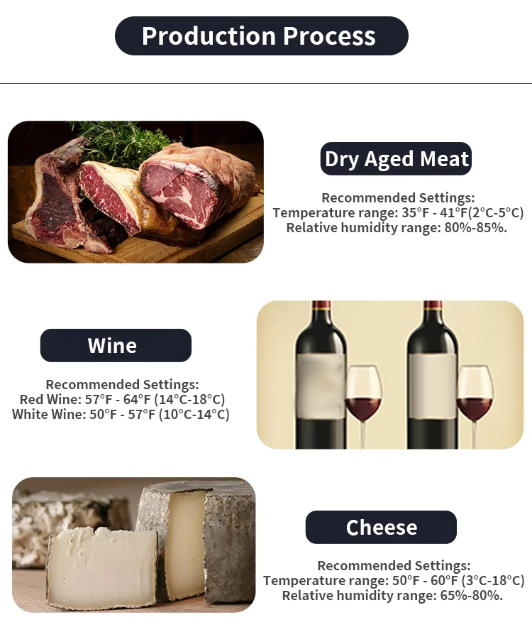 Commercial Salami Cheese Meat Beef Steak Storage Dry Age Curing Chamber Fridge Refrigerator Cabinets