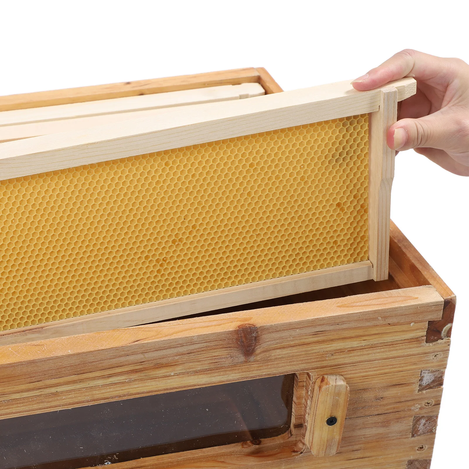 10 Frame Bee Hive 10 Frame Complete Beehive Complete Beehive Kit Wooden Bee Hive Super Box for Beginners Pro Beekeepers