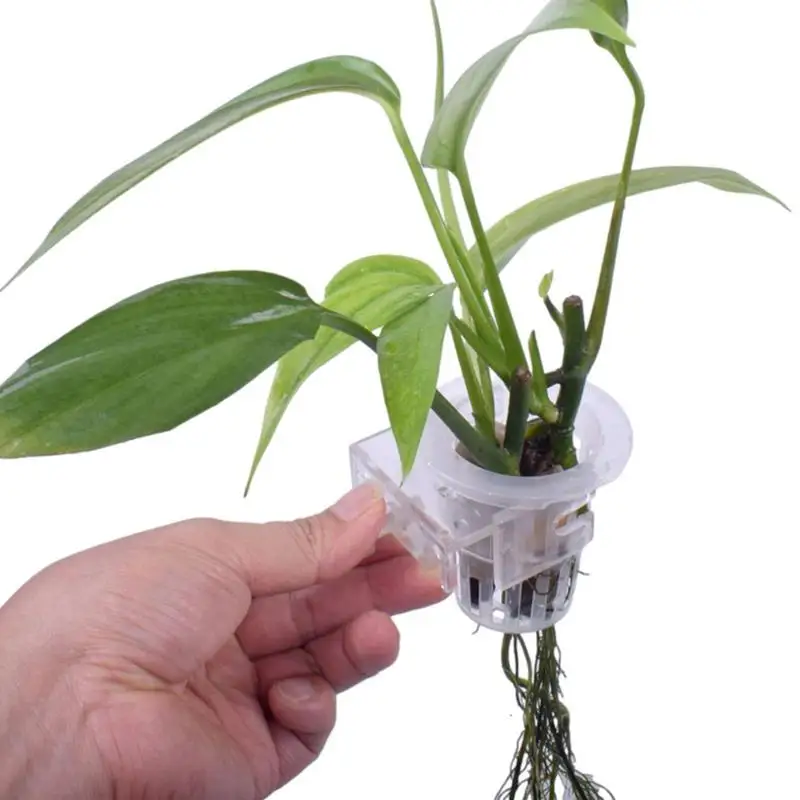 

2 pcs Aquarium Plant Holder Aquatic Plant Cup Fish Tank Plant Pot with Holes Aquarium Pothos Holder for Plant Cultivation