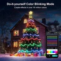 WS2812b RGB 10m 5m Garland Light LED String Smart IC App Bluetooth Remote Fairy Lights Dreamcolor Garden Party Christmas Decor - Image 3