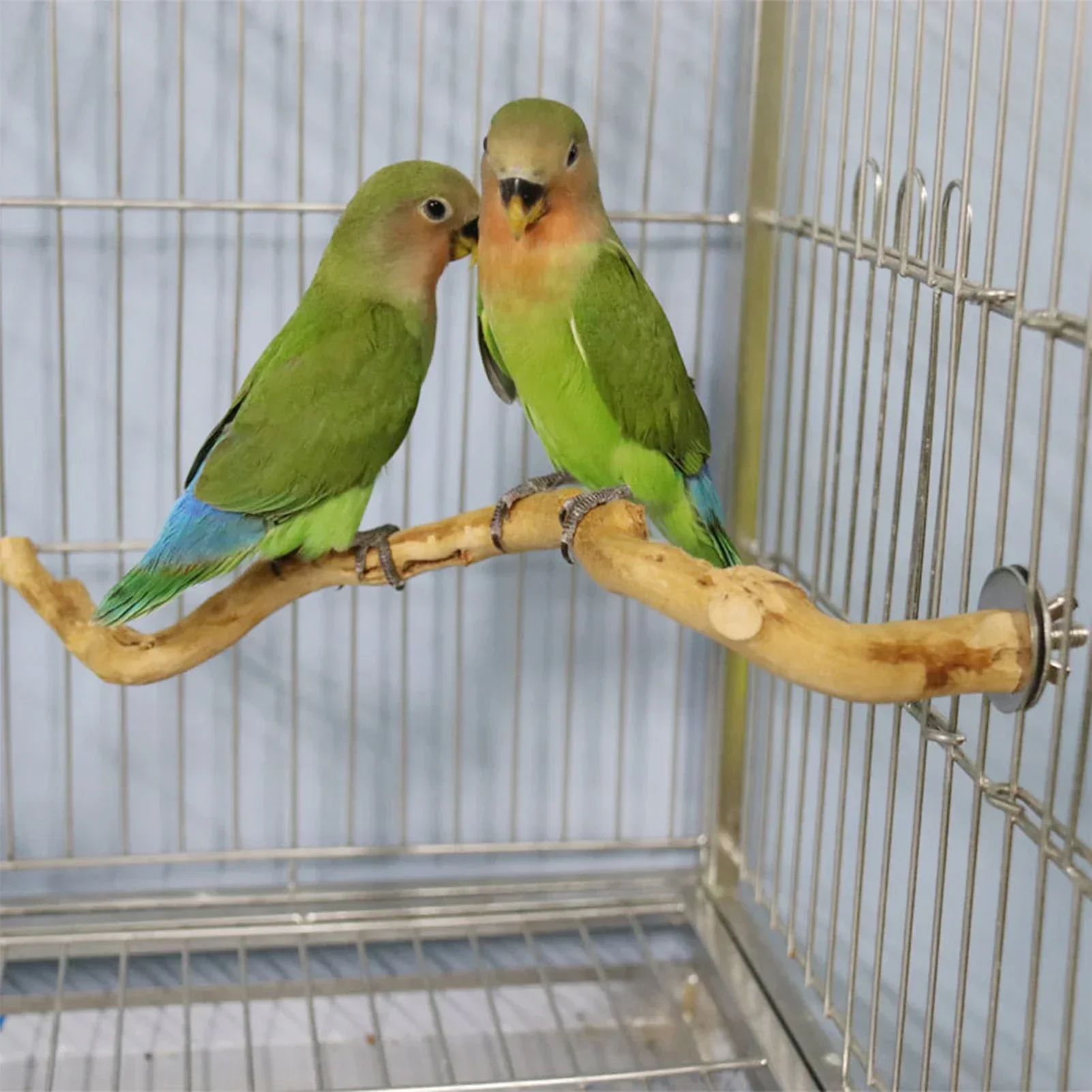 Natural Bird Stand Tree Stick 2