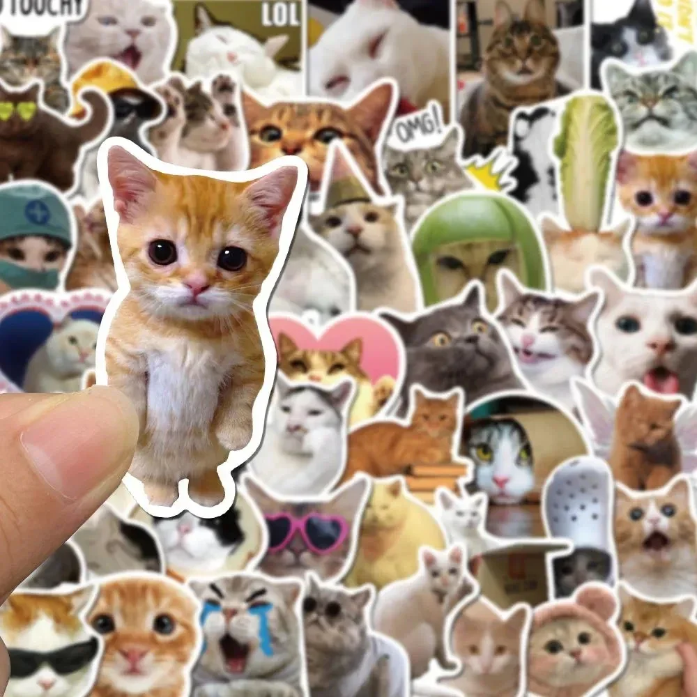 50Pcs Kawaii Funny Cat Stickers Pack Waterproof Laptop Phone Scrapbooking Motorcycle Car Korean Decal Sticker for Kids Toys 2