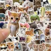 50Pcs Kawaii Funny Cat Stickers Pack Waterproof Laptop Phone Scrapbooking Motorcycle Car Korean Decal Sticker for Kids Toys 2