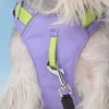 Light Weight Dog Chest Back Outdoor Dog Chest Strap Against Yarn-dyed Belt Pet Traction Speed DryPrevent Break Away Breathable 3