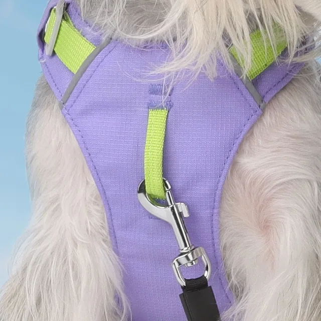 Light Weight Dog Chest Back Outdoor Dog Chest Strap Against Yarn-dyed Belt Pet Traction Speed DryPrevent Break Away Breathable 3