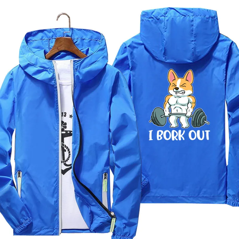 Corgi  帮Ʈ ƮϽ ü  ,   ٶ,  ĵ Ŷ,  Ϸ Ų Ʈ, 