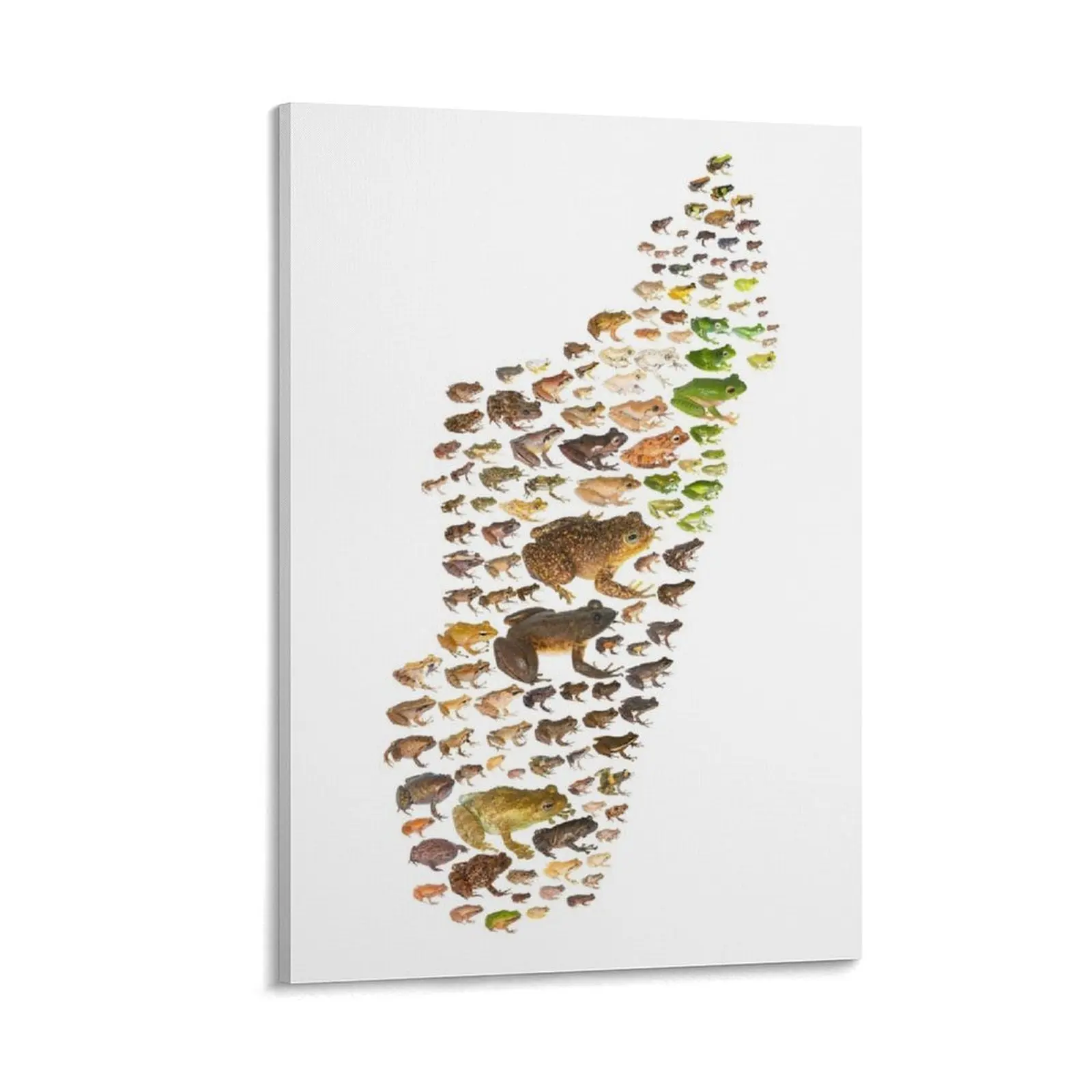 

Madagascar's Frogs Canvas Painting nordic home decor home decoration luxury