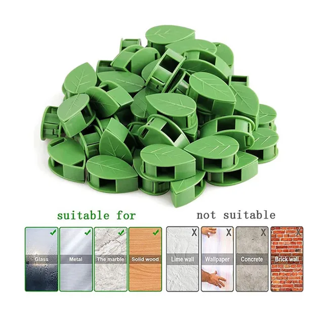 Levelek A Növény Rögzítését Tartó / Zöld Növényi Horog Szőlő Vontató - Image 6