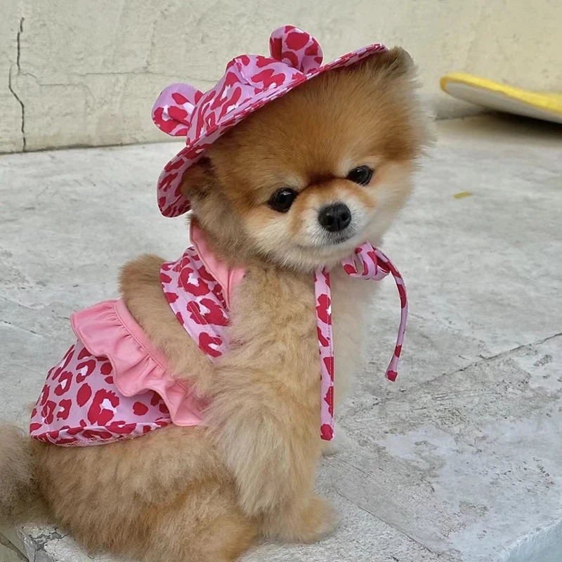 Summer Cute Puppy Dog Swimming Suit Hat Set for Small Dogs - PeticaDeals