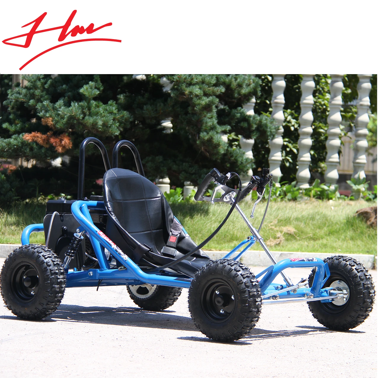 Buggy karts de gasolina para adultos, motor sin escobillas, 196CC|Piezas herramientas| -