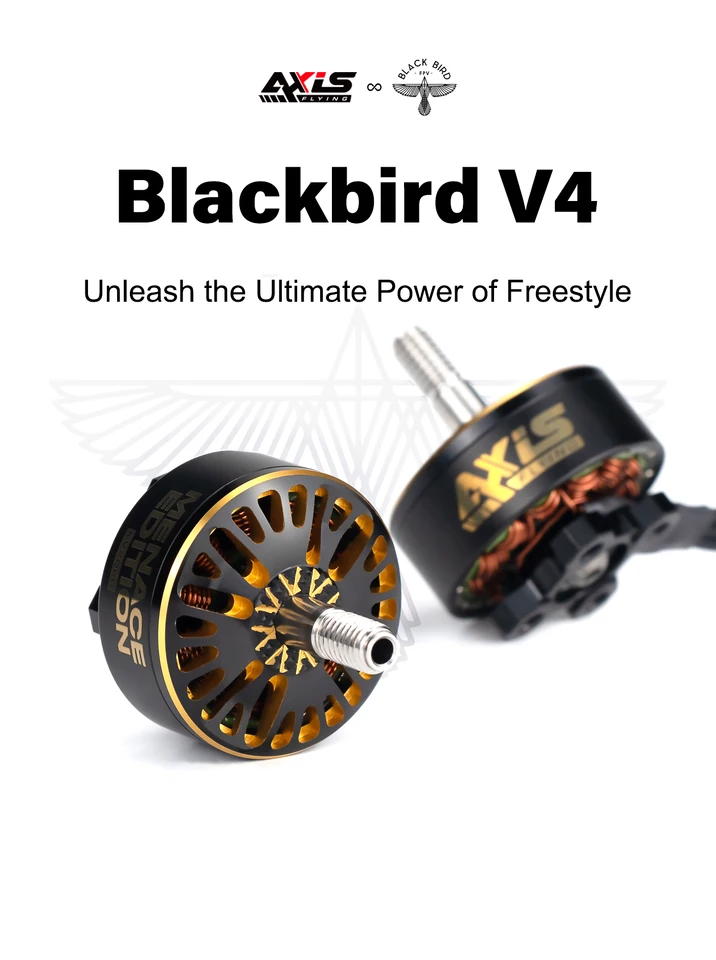 Axisflying BlackBird V4 2307 CO-brand Brushless Motor for