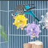 Interactive Parrot Toy Bird Cage Toy for Parrots Rotating Treat Dispenser,  for Mental Stimulation and Entertainment 3