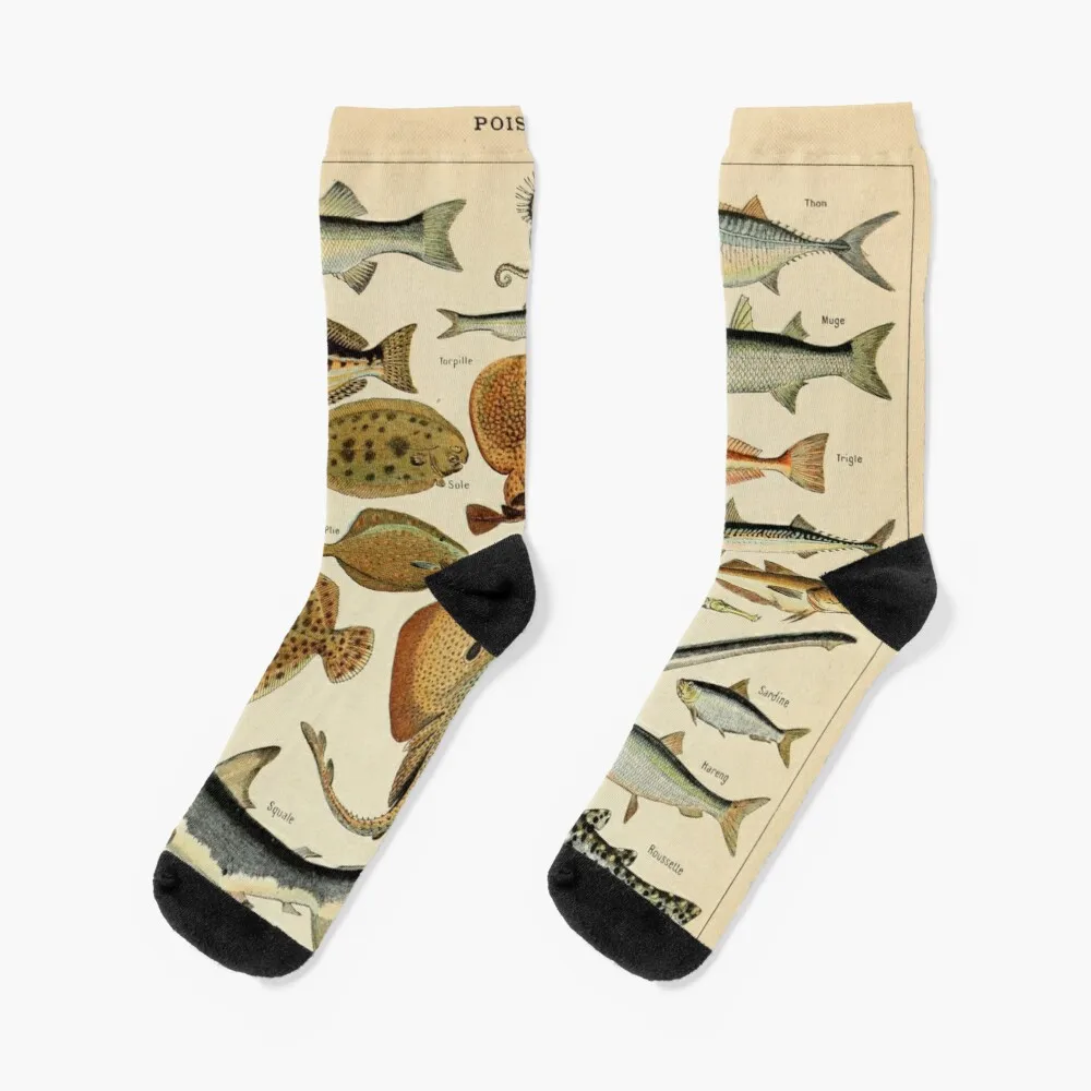 

Fish Socks Thick Socks