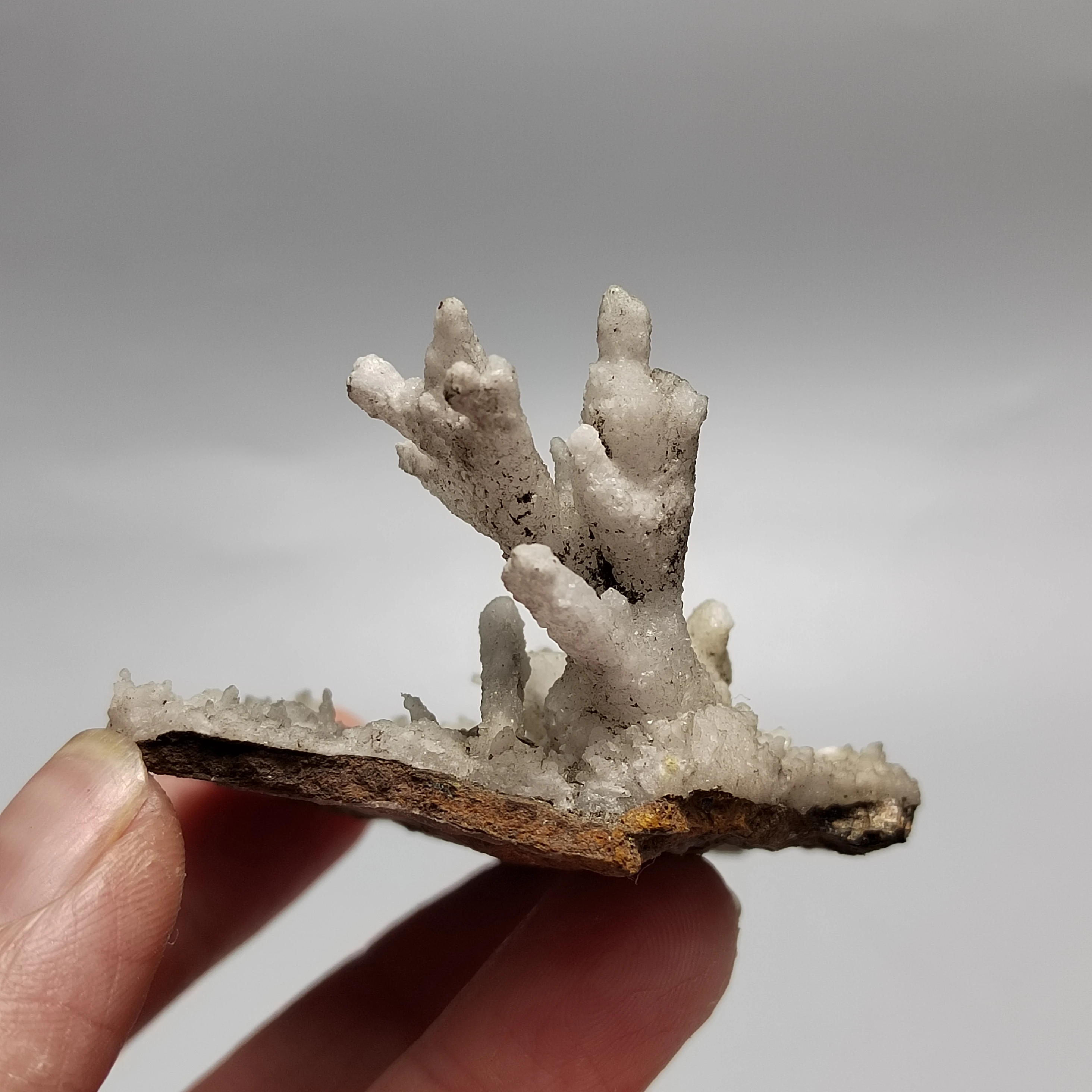 

31.4-66.4g100% natural rare aragonite mineral repair wheel vein teaching crystal raw stone home decoration series