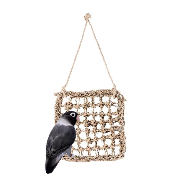 Bird Climbing Toys Climbing Nets For Parrots Rope Ladder Chew Toys Bird  Accessories For Cages Lovebird Cockatiel Conure Budgie - AliExpress