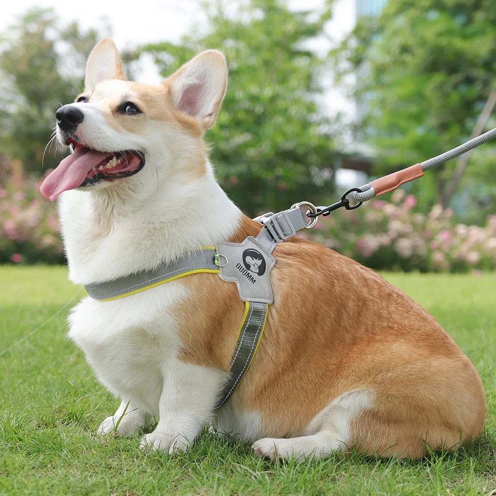 Adjustable Dog Harness - Image 5