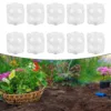 20/10pcs 5cm/8cm Plant Root Growing Box High Pressure Propagation Ball Garden Graft Box Reusable Plant Rooting Equipment 2