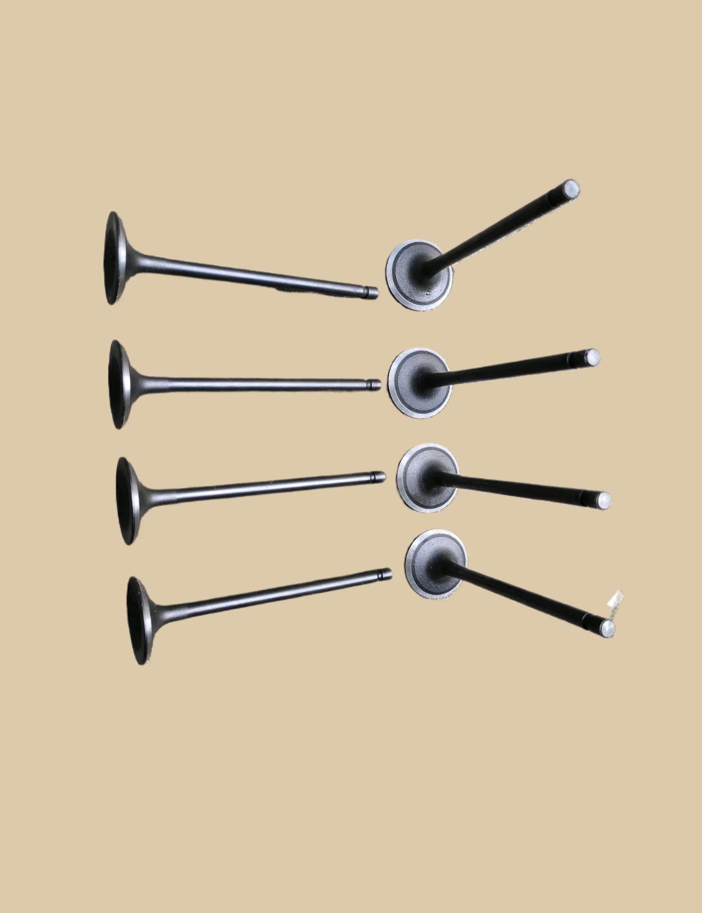 JAC M5 HFC4DB1 intake valve 1003202GD190 8pcs