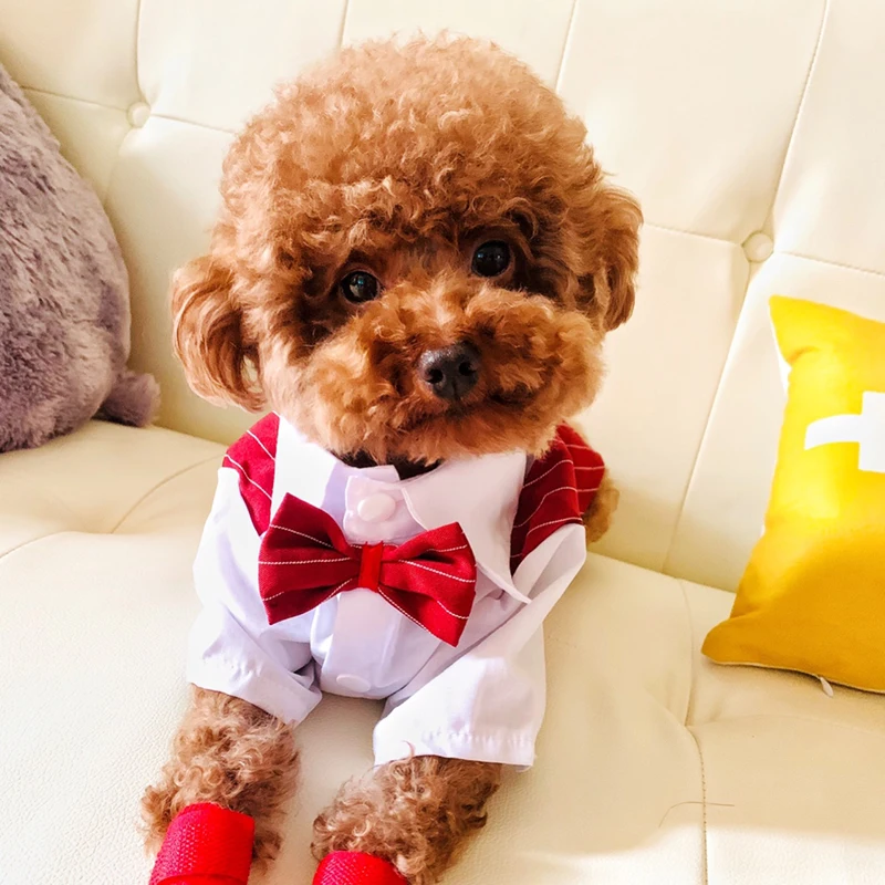 Hunde-Partykleid im Smoking-Stil mit verschiedenen Farboptionen.