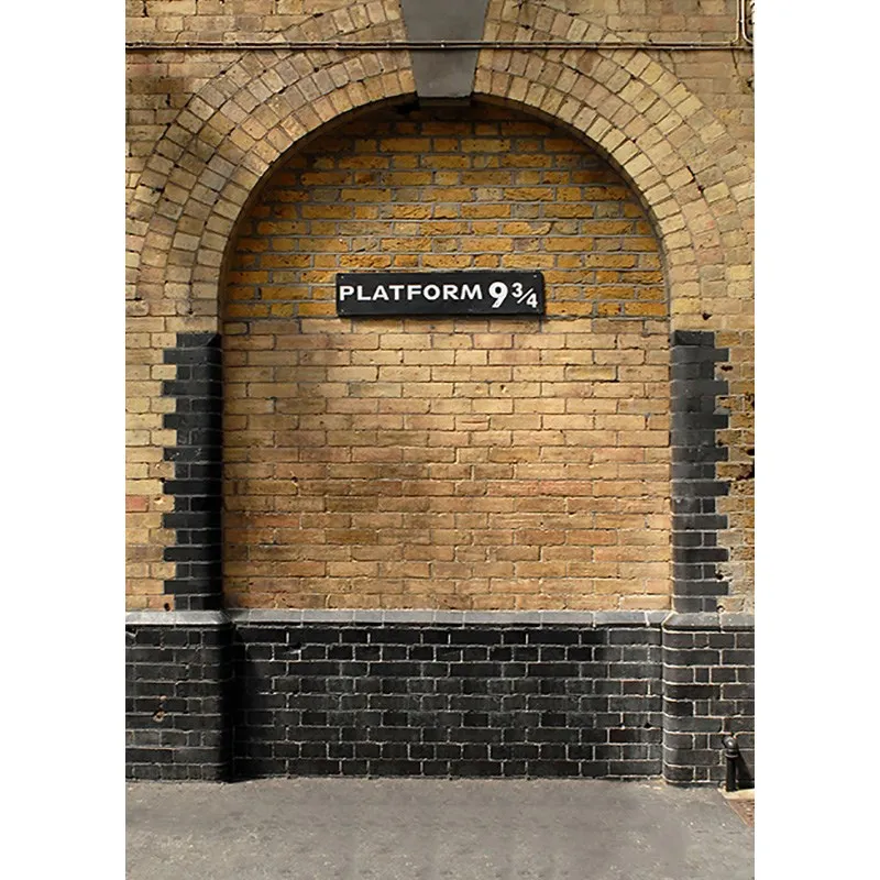 

SHUOZHIKE Photorealistic Fabric Heaven Photography Backdrops Prop Wall 9 3/4 Station Theme Photography Background SS-9059