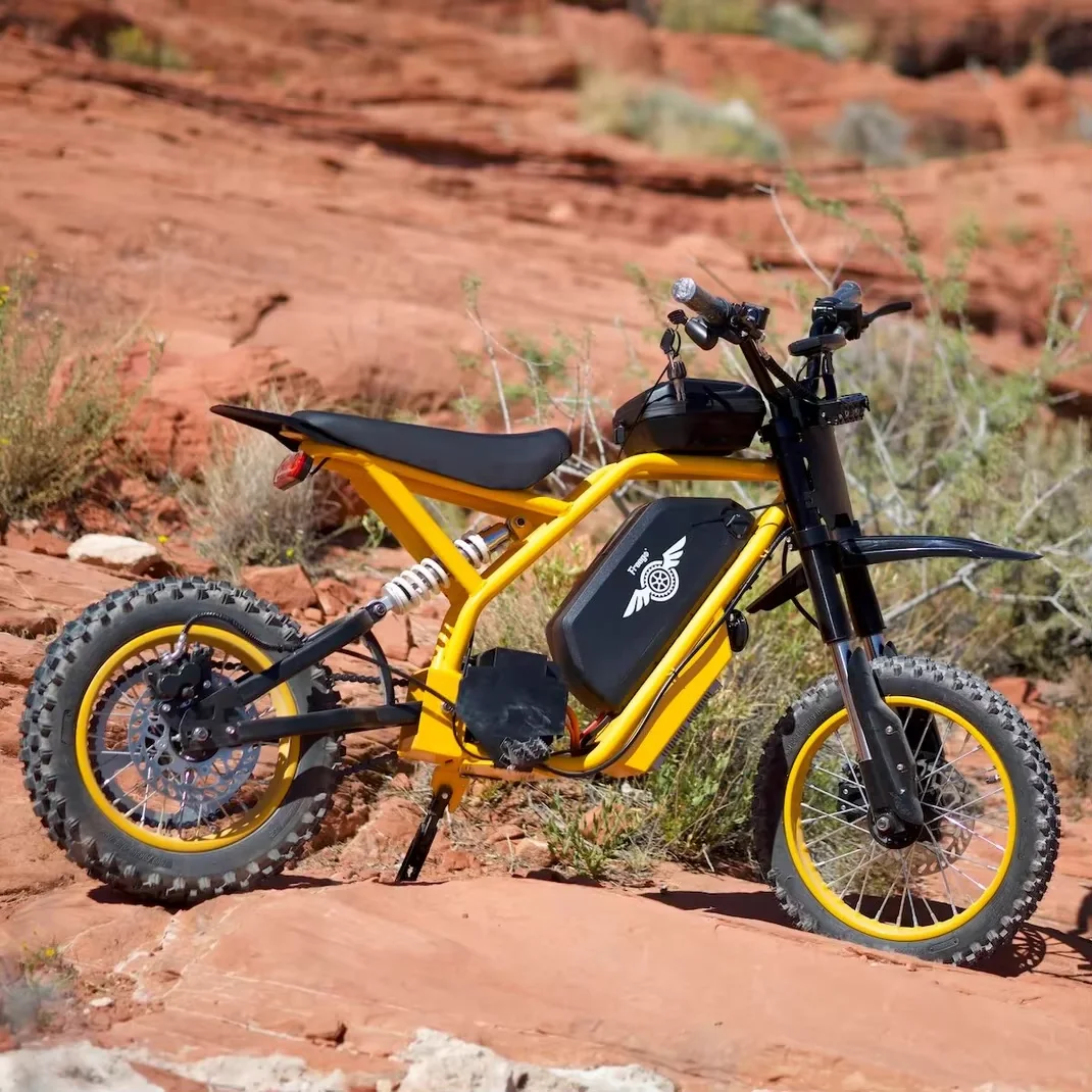 Freego Nova2 Electric Motorcycle 2800W Motor Ebike 60V, 25AH Battery 37 MPH Mid-Drive Electric Dirt Bike UL 2849 1 Year Warranty