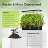 Hydroponics Growing System Kit with 12 Pods