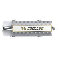 HR-09 M. 2 2280 SSD Heat Sink Fully Electroplated Reflow Welding AGHP HeatPipe M.2 Solid State Drive Radiator SSD Cooler - Image 2