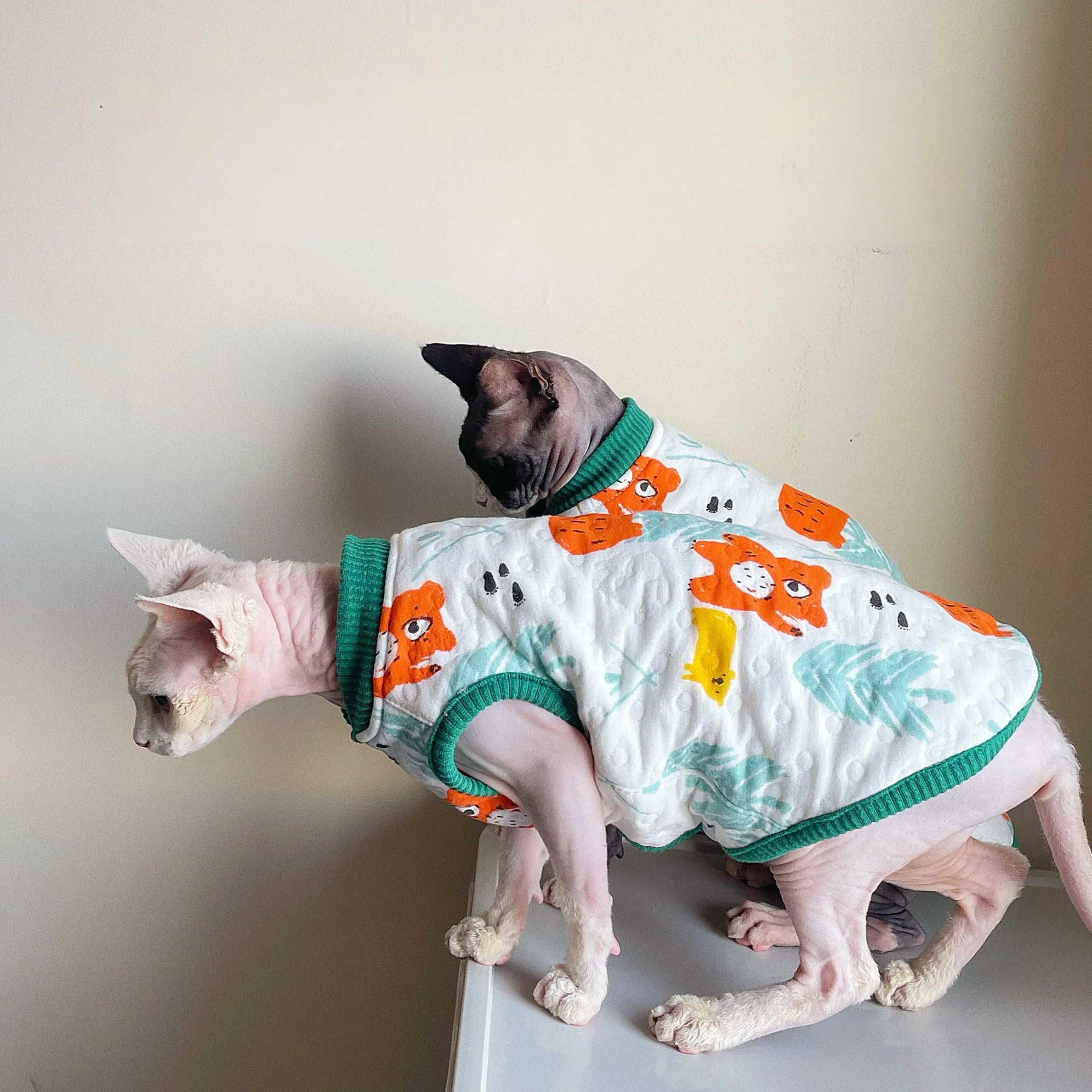 스핑크스 고양이용 부드러운 면 조끼, 새끼 고양이용 겨울 따뜻한 가디건, 가을 데본 렉스용 귀여운 민소매 코트, 면 패딩 처리