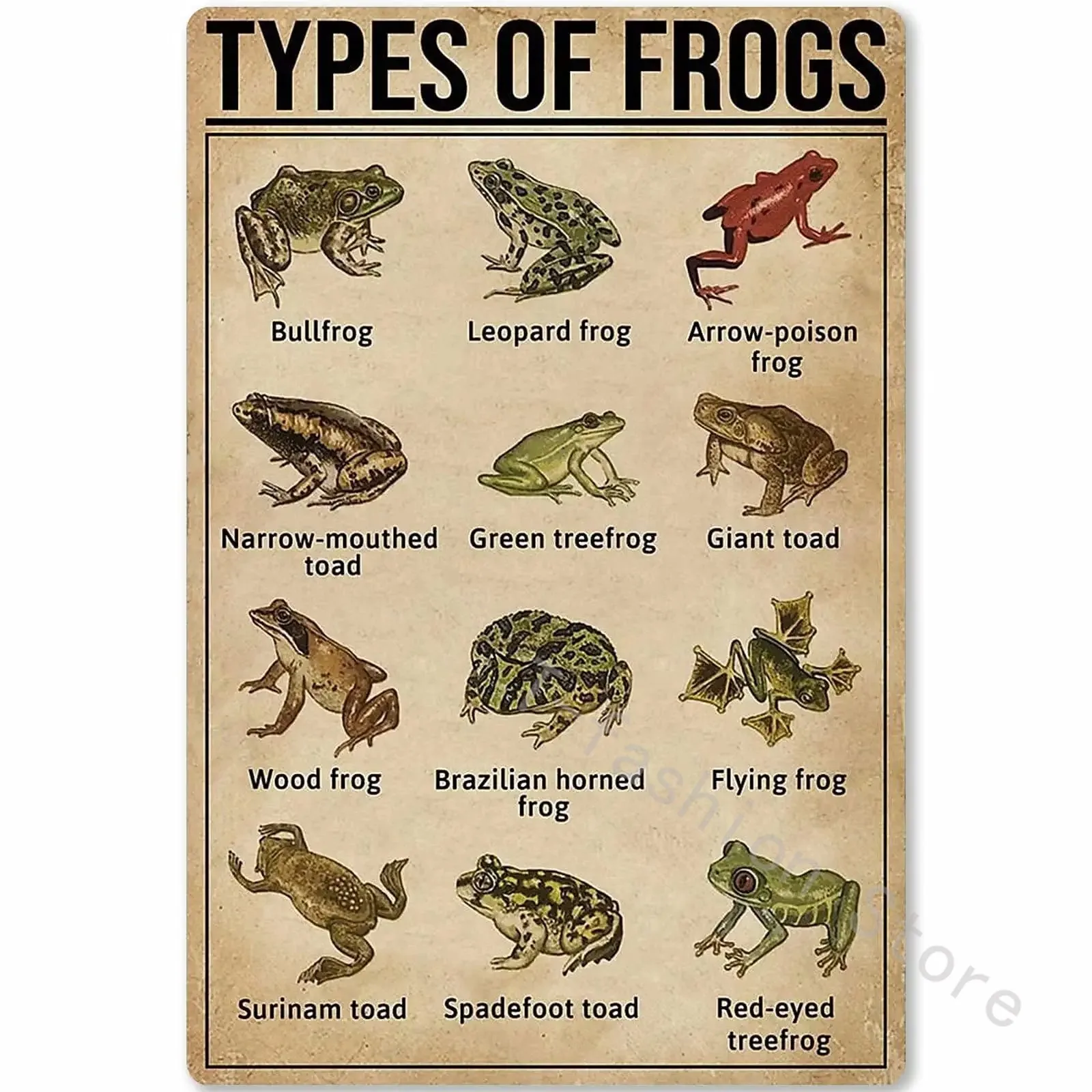 

Types Of Frogs Metal Signs Frogs Knowledge Popular Science Guide Room Club Farm Wall Decor 12x18 In