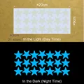 3cm 21 stars BE