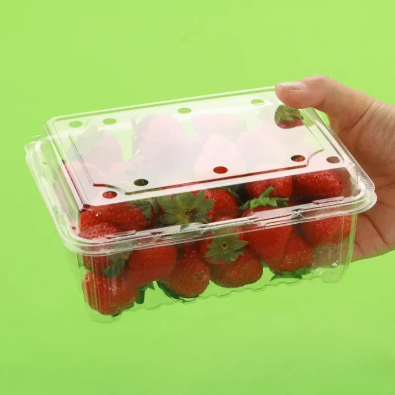 100pcs Fruit Box with Lid Disposable Plastic Transparent 1kg Packaging Boxes Strawberry Grape Fruit Vegetable 500g Wrapping Box 3