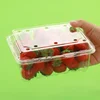 100pcs Fruit Box with Lid Disposable Plastic Transparent 1kg Packaging Boxes Strawberry Grape Fruit Vegetable 500g Wrapping Box 3