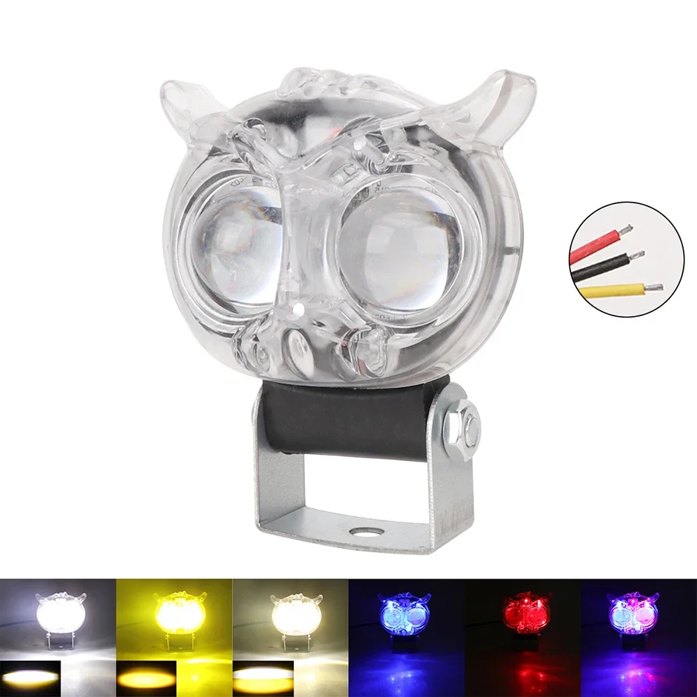 Owl