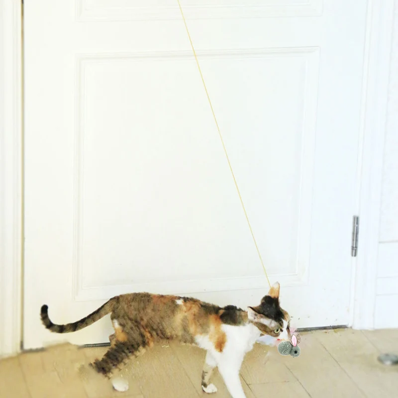 Interactive Door Hanging Cat Toy for Self Play Life Changing Products