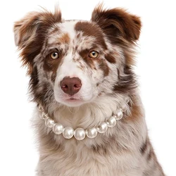 Luxury Dog Pearl Necklace with Adjustable Stainless Steel Wire Collar - XS 30 - 35CM (WHITE)