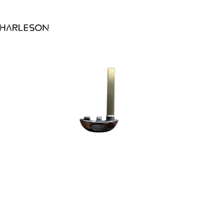 Рисунок 4 - Аварийный ключ для sain MAXUS D60