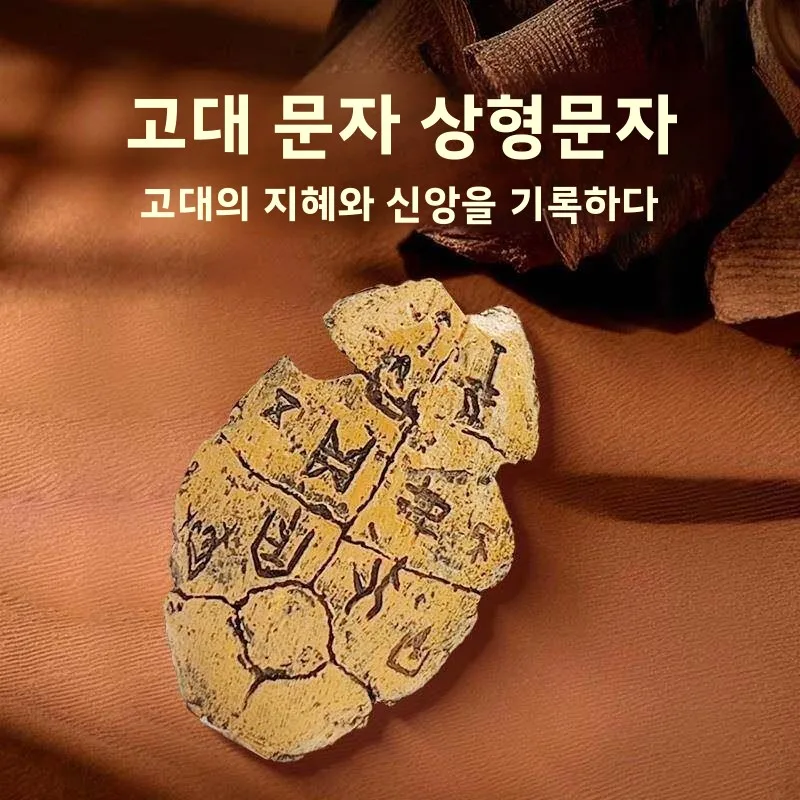 수제 오라클 뼈 레진 모형 장 가정 활동 선물 박물관 스타일 장식품 기타 예술적 테마 다양한 주제
