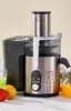 Cold Press Juicer Wide Mouth Juicer Extractor, for Vegetable and Fruit with 5-Speed Setting, High Juice Yield stainless steel 6