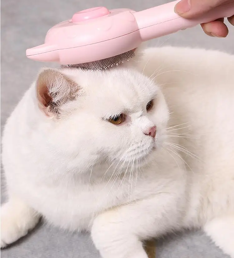 Cat Escova Pet Games Automassagem para gatos - O Câoselheiro