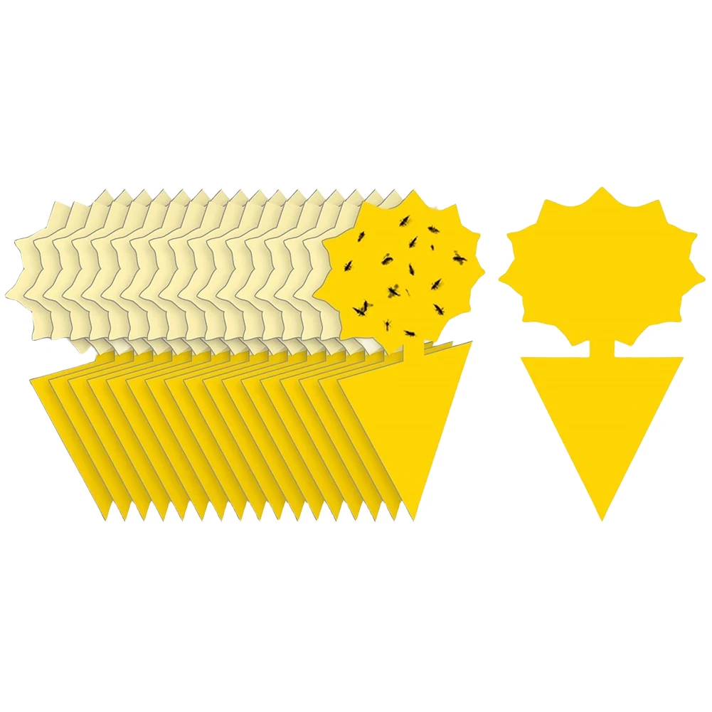 Pièges collants pour mouches des fruits, 20 pièces, protège les plantes, pièges à insectes, Non toxiques et sans odeur, pièges collants pour plantes de jardin et cuisine