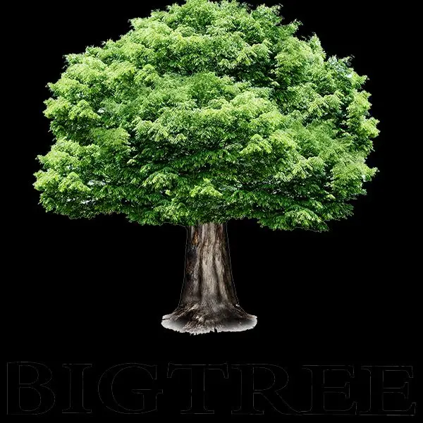 BIGTREE HOT SALES Store