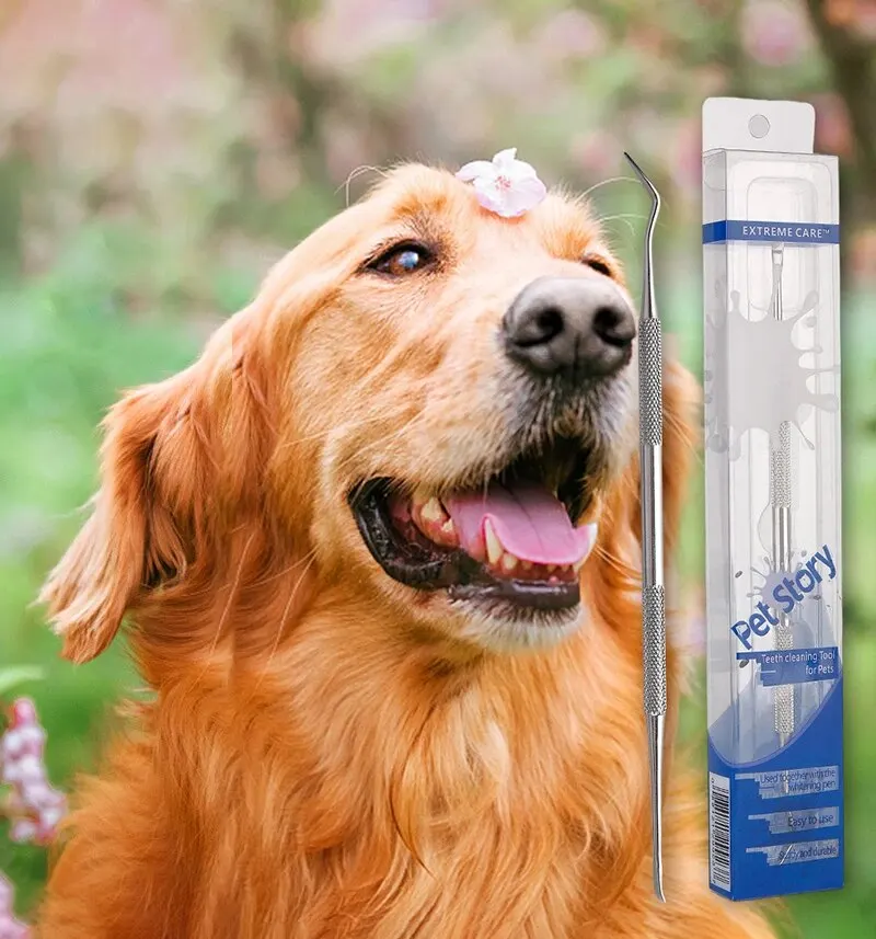 Pet Tooth Cleaner Stainless Steel Dental Tool