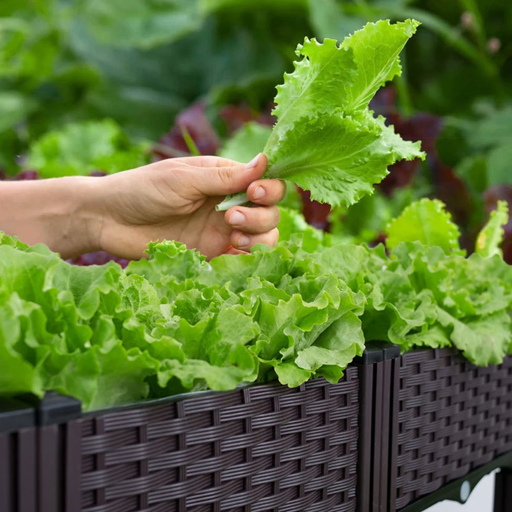 Plastic Raised Garden Bed with Drainage Holes Propagation Box with Legs Raised Bed for Gardening Vegetables Fruits Flowers Herbs