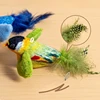 Indoor Interactive Birds Toy for Cat Chasing Teasing Toy Sounding Catnip Cat Teaser Toy Self-hilarity Wall Hanging Birds Cat Toy 4