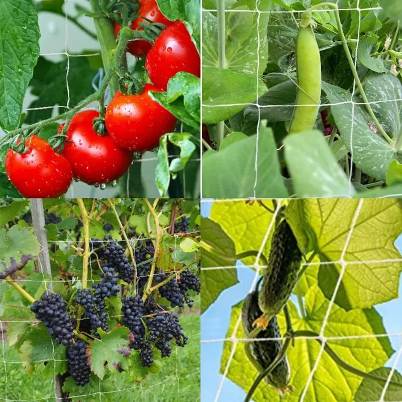 

Gardening Trellis Netting Heavy-Duty Plant Support Stand For Flowers Vegetable Easy To Install Blackberries Climbing Tools
